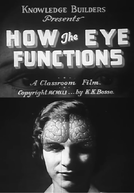 How the Eye Functions (Knowledge Builders: How the Eye Functions)