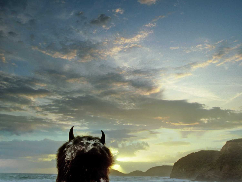 Foto 1 de Onde Vivem os Monstros