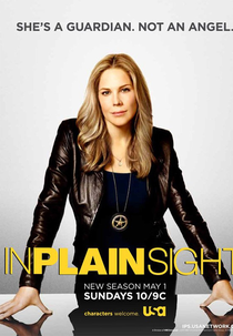 Testemunha Ocular (4ª Temporada) (In Plain Sight)