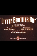 Little Brother Rat (Little Brother Rat)