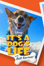 Super Cães – Apresentado por Bill Farmer (1ª Temporada) (It's a Dog's Life with Bill Farmer (Season 1))