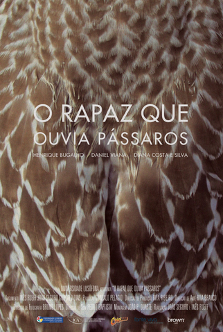 Poster 1 de Curta O Rapaz Que Ouvia Pássaros (2012)
