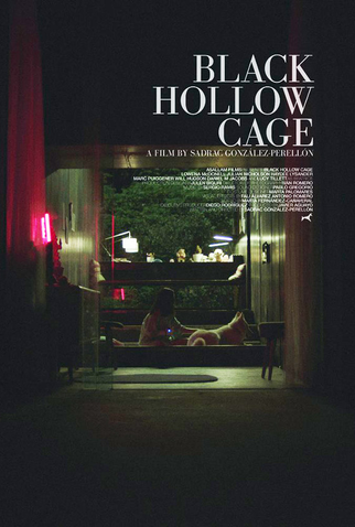 Poster 7 de Filme A Caixa Preta (2017)