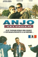 Anjo Selvagem (Love Is Like That)