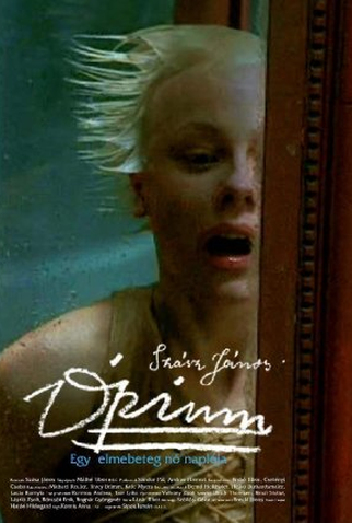 Poster 6 de Filme Ópio: Diário de uma Louca (2007)