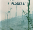 Nas Cinzas da Floresta