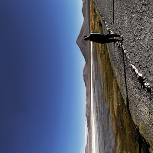 Foto de perfil de Fernando Chiarini