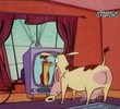 I.R. in Wrong Cartoon