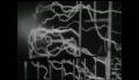 MAGNETIC MONSTER TRAILER 1953 RICHARD CARLSON