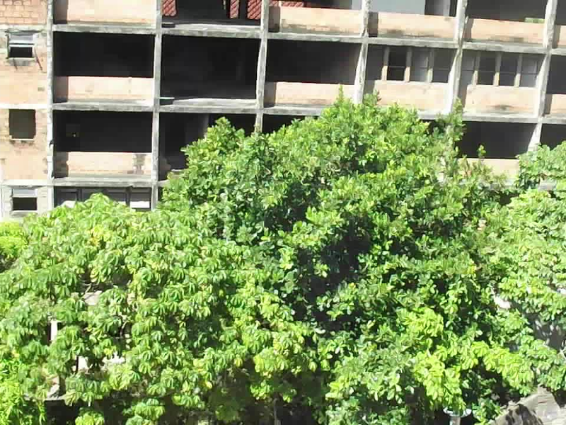 Foto 1 de Potências De J