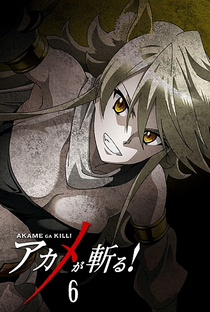 Akame ga Kill! - Poster / Capa / Cartaz - Oficial 10