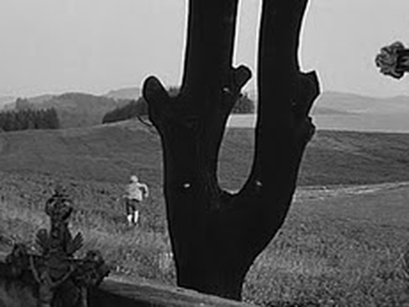 Foto 2 de Viva a República