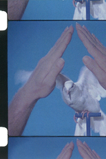 A White Dove (A White Dove)