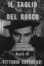 Il Taglio Del Bosco (Il Tagglio Del Bosco)