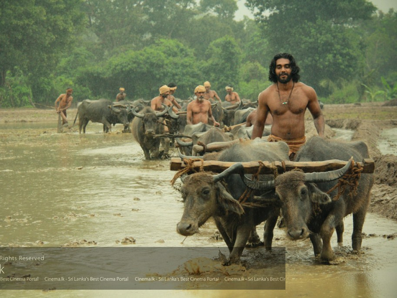 Foto 6 de Siri Parakum