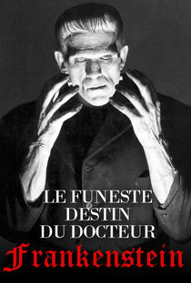 The Strange Life of Dr. Frankenstein - Poster / Capa / Cartaz - Oficial 1