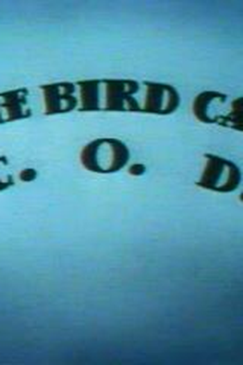 Poster de Curta The Bird Came C.O.D. (1942)