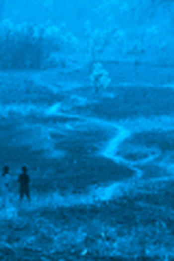  de Filme O Pássaro Azul (2011)