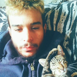 Foto de perfil de Gabriel Bertanha