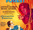 A Floresta Ardente