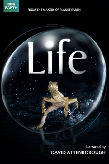  de Série BBC - Vida (2009)