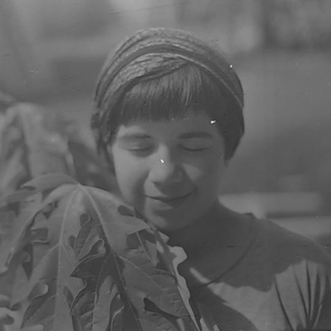 Foto de perfil de Fernanda Silva