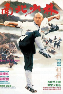 O Templo de Shaolin 3: As Artes Marciais de Shaolin - Poster / Capa / Cartaz - Oficial 1