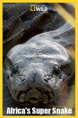 A Cobra Mortal da África (Africa's Super Snake)
