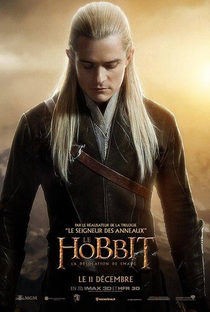 O Hobbit: A Desolação de Smaug - Poster / Capa / Cartaz - Oficial 26