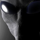 Foto de perfil de Lucas