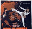 Kung Fu contra o Demônio do Karatê