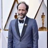 Álbum de Bob Dylan ganhará versão cinematográfica por Luca Guadagnino