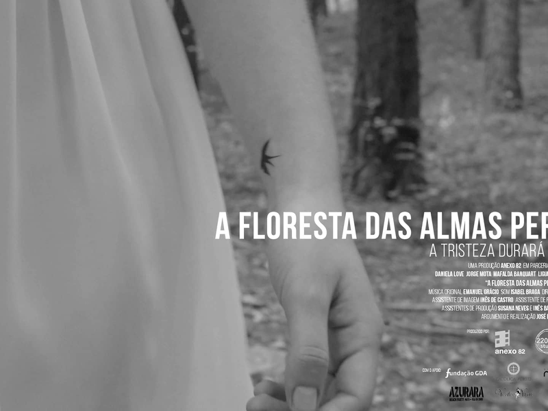 Foto 3 de A Floresta das Almas Perdidas