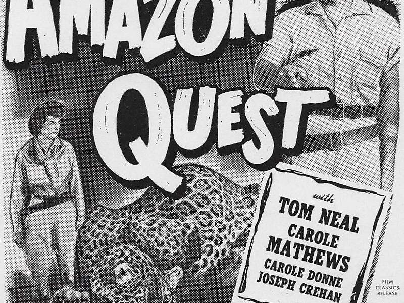 Foto 2 de Amazon Quest