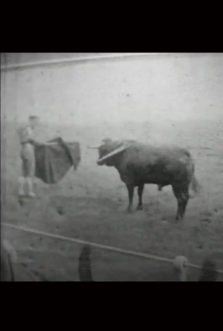 Poster 1 de Curta Corrida (1929)