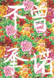 Não Me Prometa Nada (Não Me Prometa Nada)