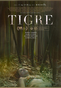 Tigre (Tigre)