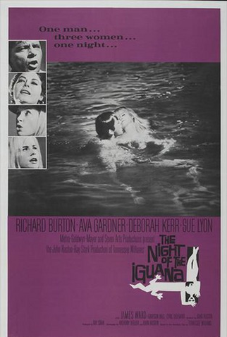 Poster 2 de Filme A Noite do Iguana (1964)