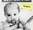 Stromberg (5ª Temporada)