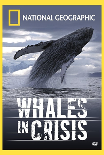 Baleias em Perigo - Poster / Capa / Cartaz - Oficial 1