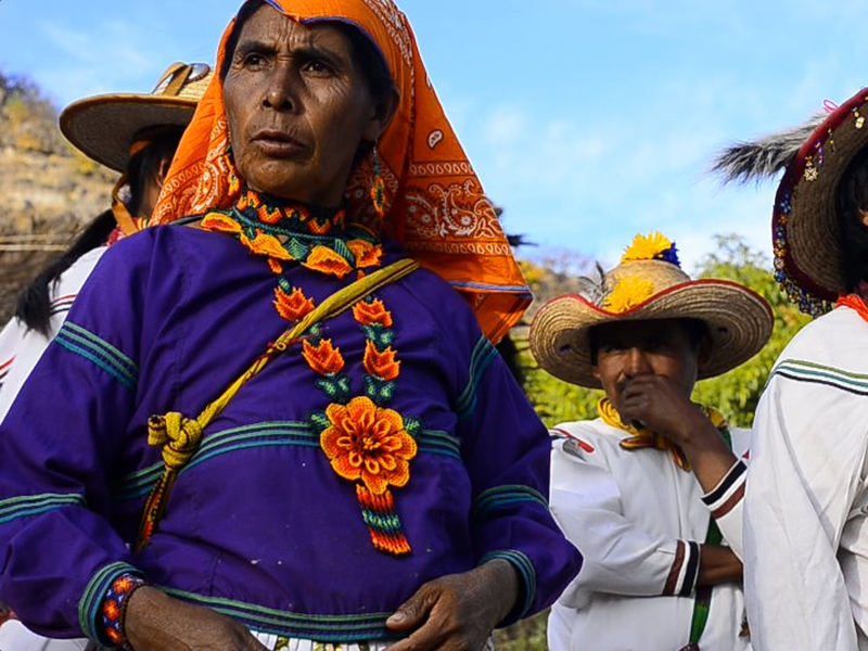 Foto 7 de Huicholes