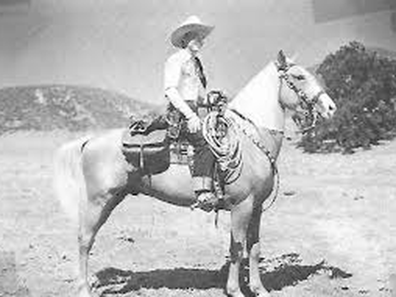 Foto 2 de Crazy Animals