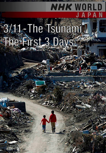 3/11 - The Tsunami: The First 3 Days (3/11 - The Tsunami: The First 3 Days)
