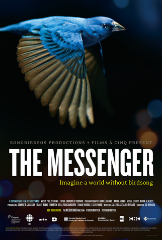 Poster 1 de Filme The Messenger (2015)