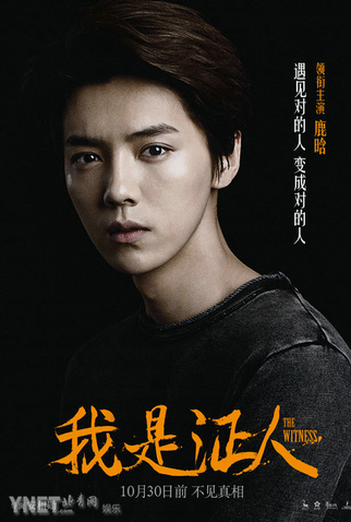 Poster 10 de Filme The Witness (2015)
