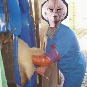 Foto de perfil de Inseminador de torrents