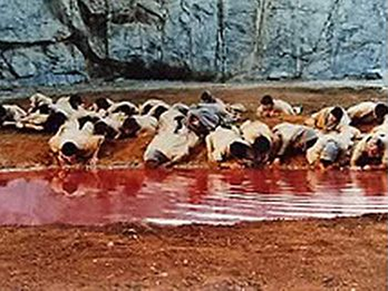 Foto 1 de Rosa de Areia