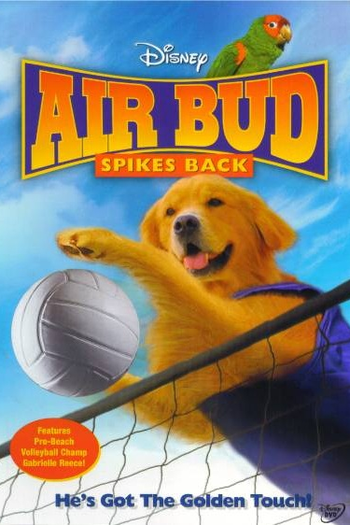  de Filme Bud 5 - Arrasando no Vôlei (2003)