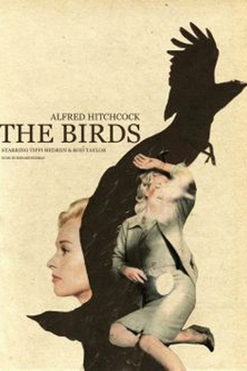  de Filme Os Pássaros (1963)