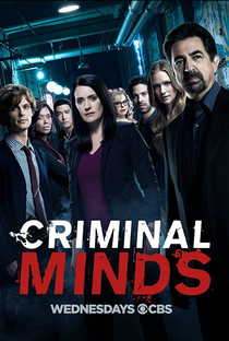 Mentes Criminosas (13ª Temporada) - Poster / Capa / Cartaz - Oficial 1